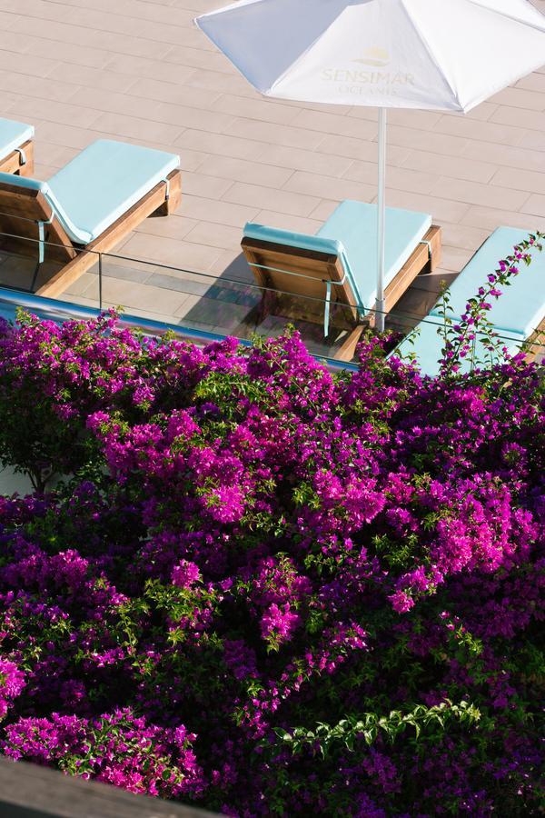 Oceanis Beach & Spa Resort Psalidi  Exterior foto